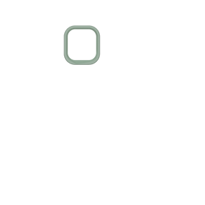 Camera Ring Solidsuit iPhone 11