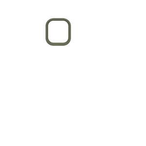 Camera Ring Solidsuit iPhone 11